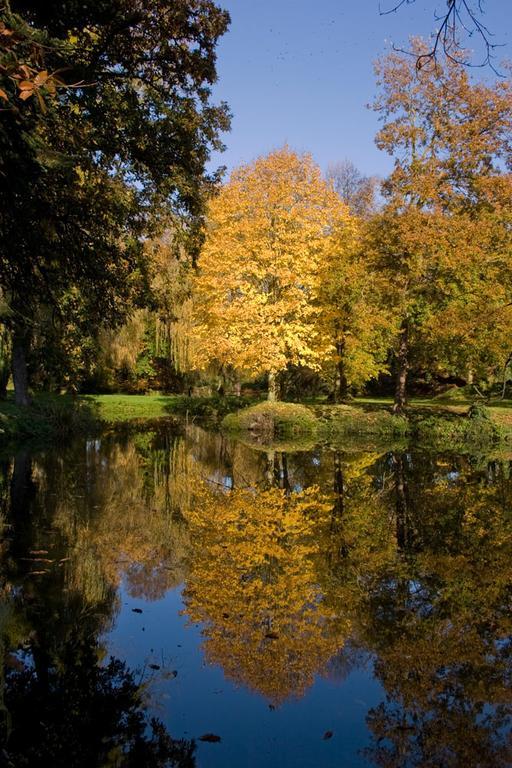 Manoir Du Plessix Meen Pluduno Exteriör bild